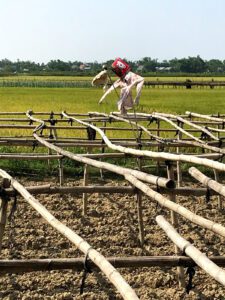 Vietnam countryside farming vegetables