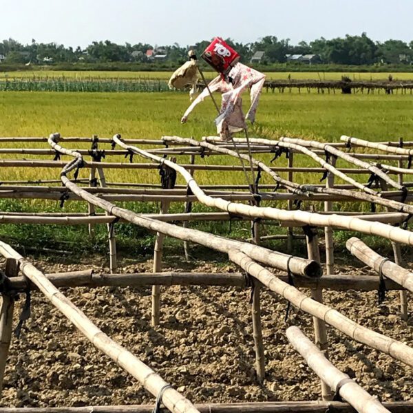 Vietnam countryside farming vegetables