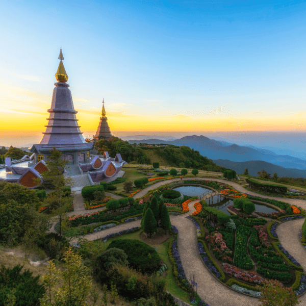 Wildlife Adventures on Thailand’s Highest Peak Doi Inthanon