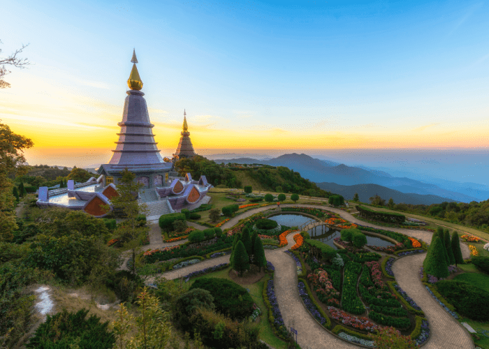 Wildlife Adventures on Thailand’s Highest Peak Doi Inthanon